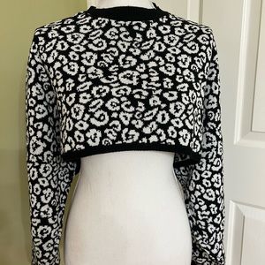 Cute Women Crop Sweater